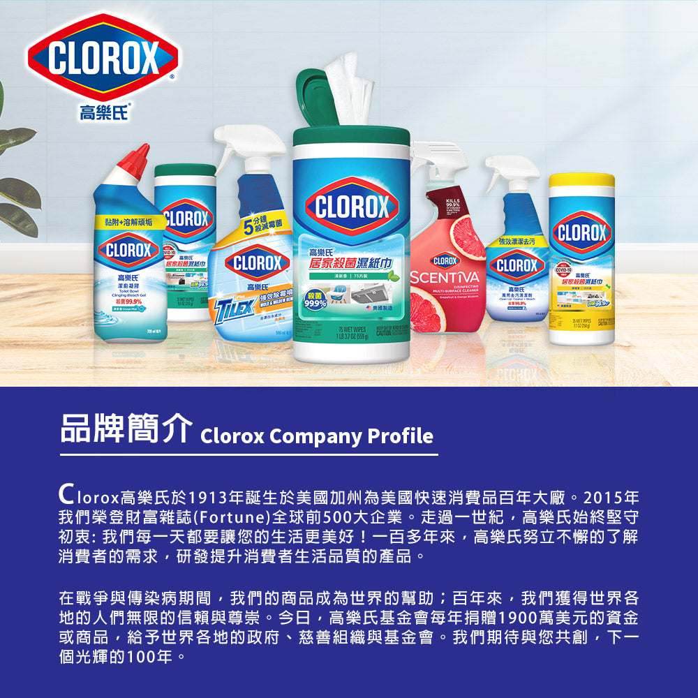 CLOROX高樂氏-萬用去汙清潔劑-946ML-雨林香-MYS
