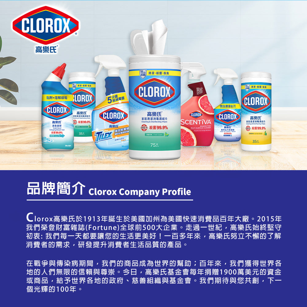 CLOROX高樂氏-居家殺菌濕紙巾-75片-檸檬香-JIEYA