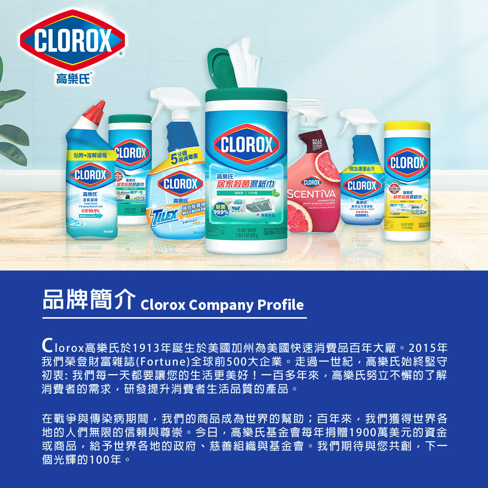 CLOROX高樂氏-潔廁凝膠-709ML-清新香-MYS