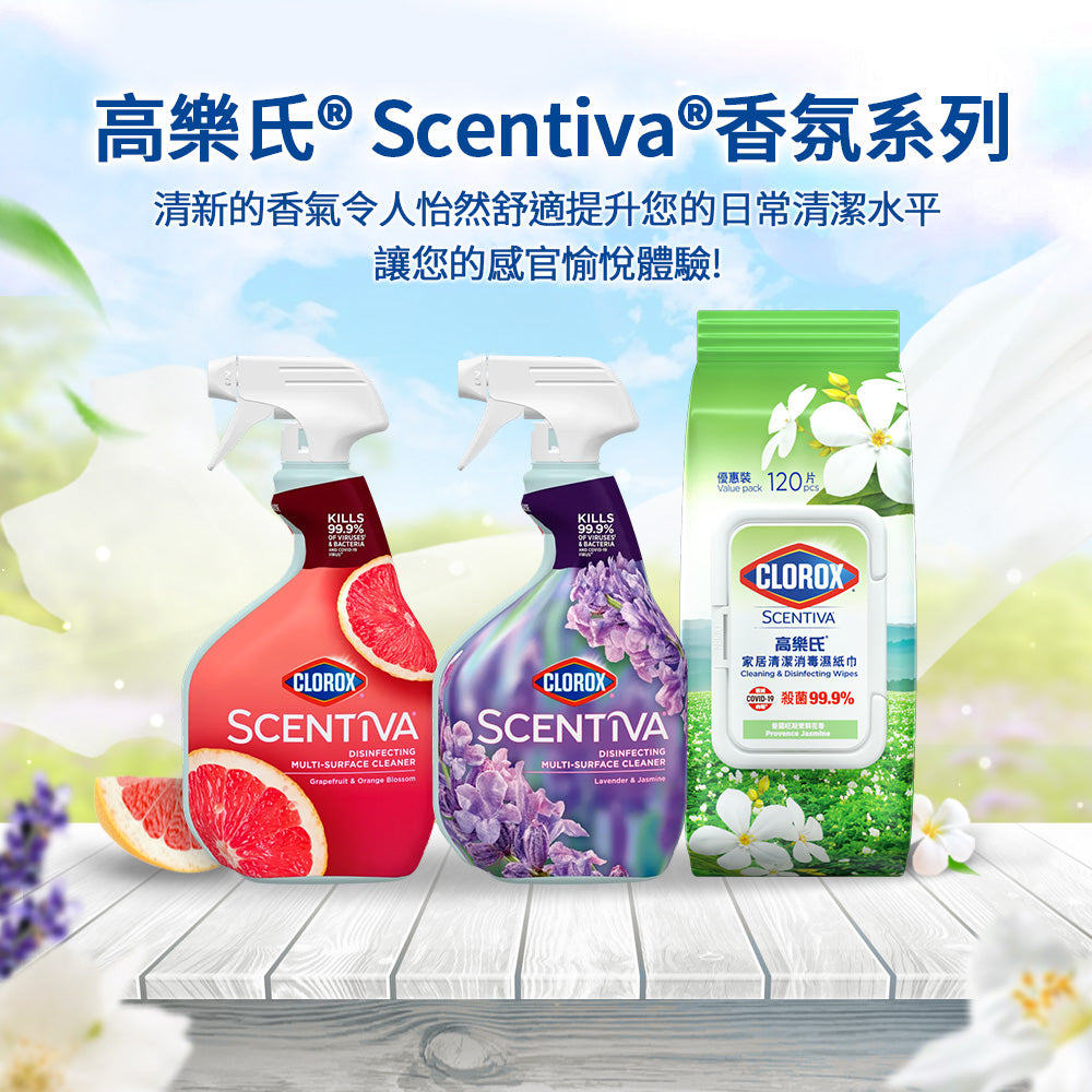 【尼尼團購】Clorox高樂氏居家殺菌濕紙巾-茉莉花香-120片x3入