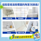 CLOROX高樂氏-強效除霉噴劑-946ML-MYS